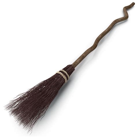 Dark witch broom